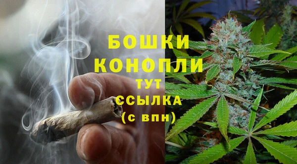 спайс Беломорск