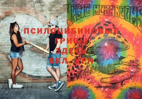Альфа ПВП Рославль