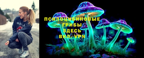 спайс Беломорск