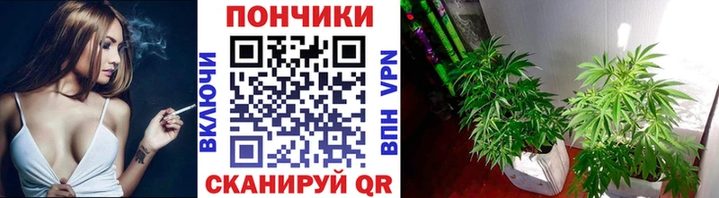 Бошки Шишки AK-47 Павловск